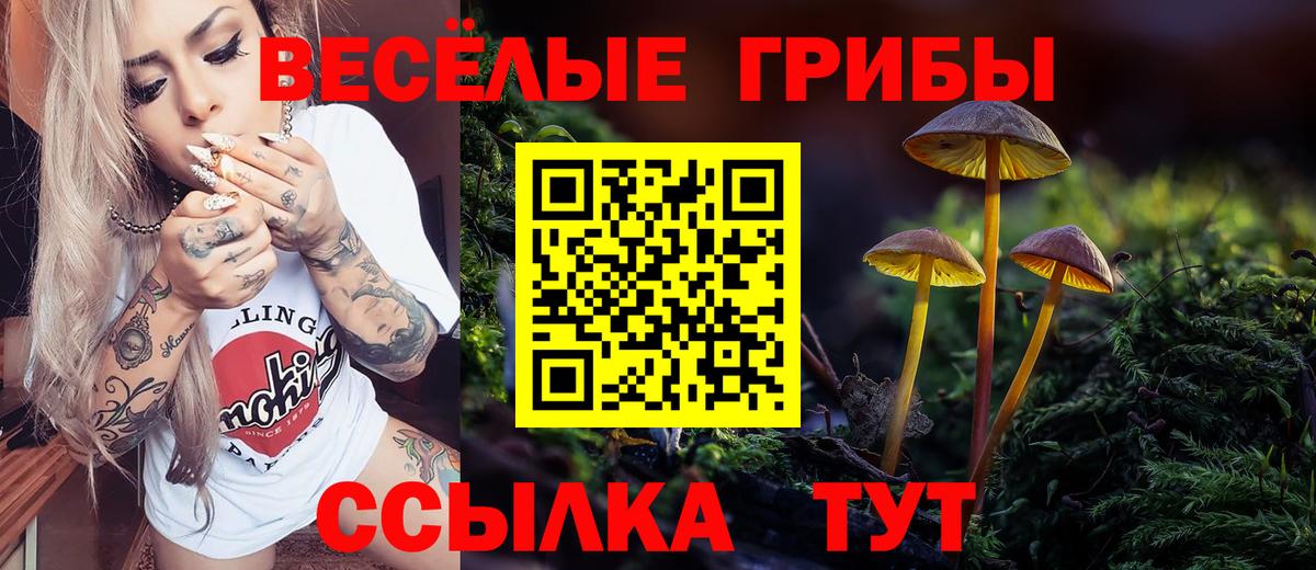 Псилоцибиновые грибы Psilocybe  Галлюциногенные грибы Psilocybe  Вход с VPN  Кинешма 